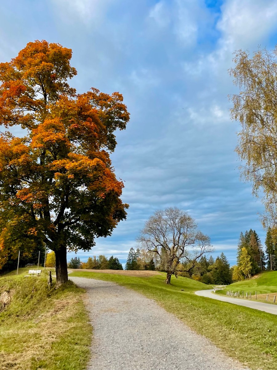 The straight, narrow, and…&nbsp;hard